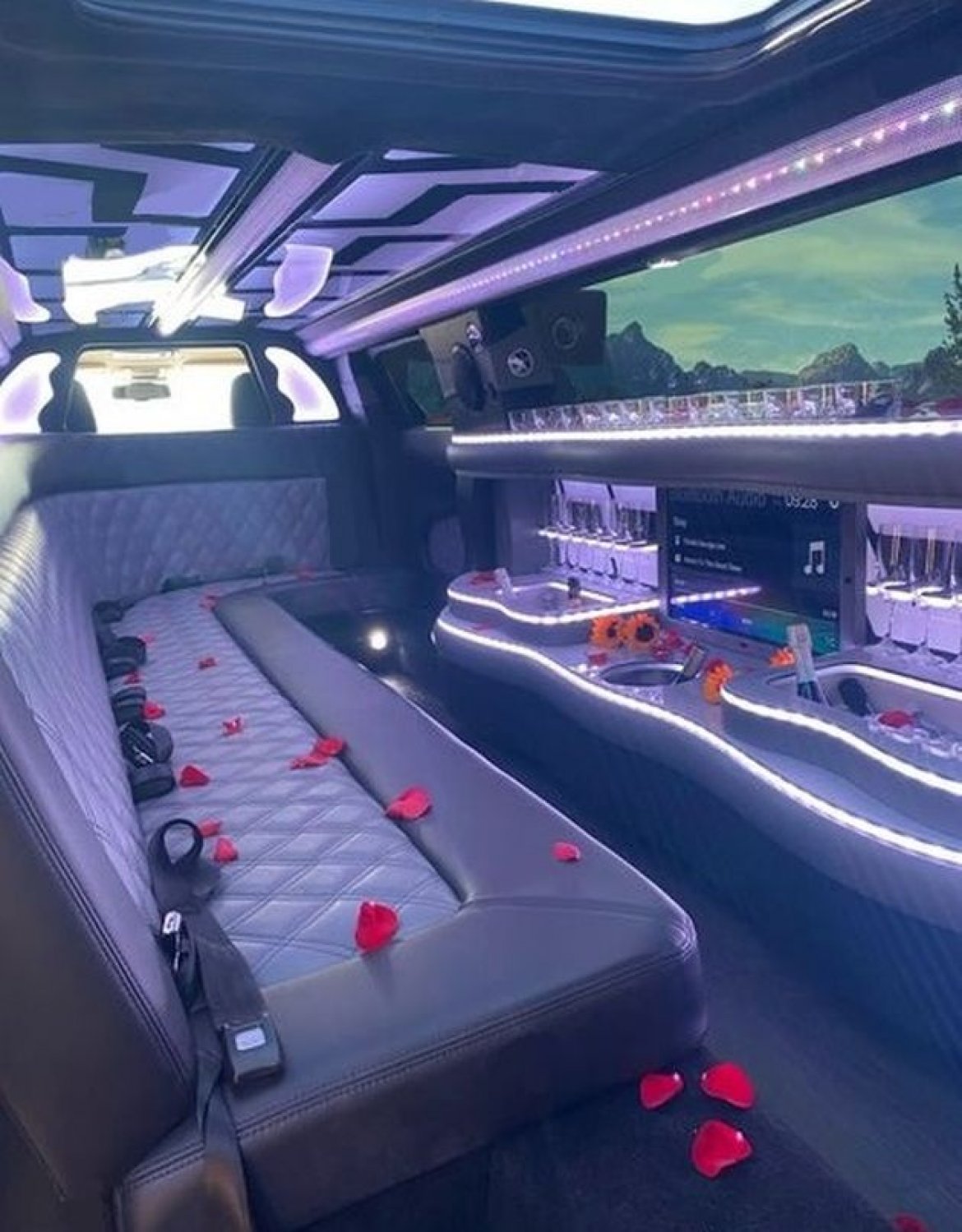 Luxury limousine interior with rose petals for wedding